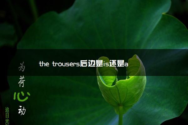 the trousers后边是is还是are