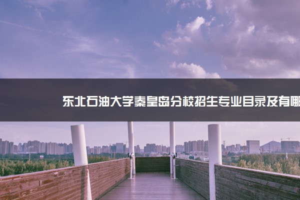 东北石油大学秦皇岛分校招生专业目录及有哪些院系(参考)