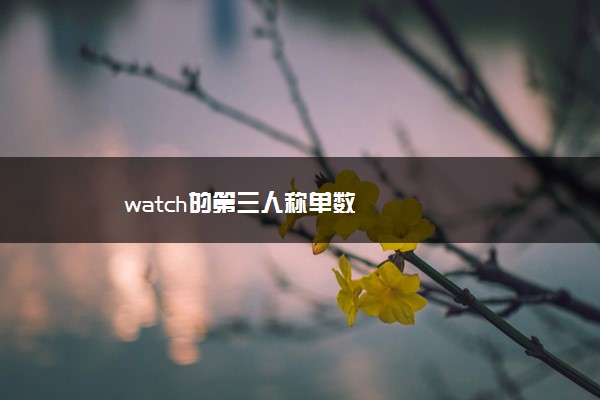 watch的第三人称单数