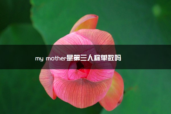 my mother是第三人称单数吗