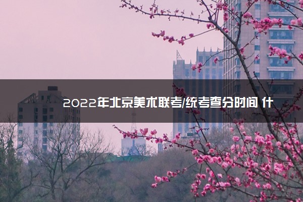 2022年北京美术联考/统考查分时间 什么时候出成绩