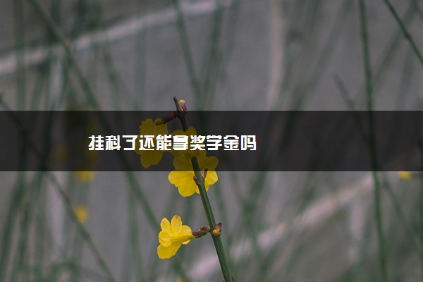 挂科了还能拿奖学金吗