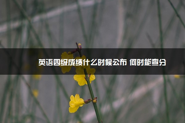 英语四级成绩什么时候公布 何时能查分