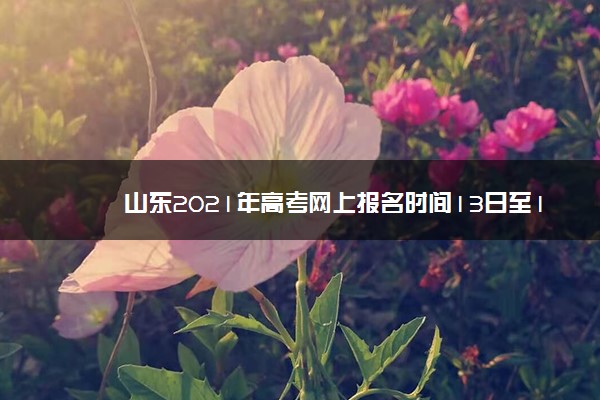 山东2021年高考网上报名时间13日至19日