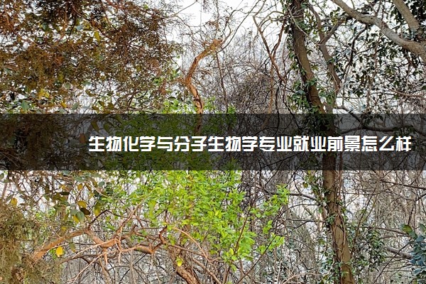 生物化学与分子生物学专业就业前景怎么样