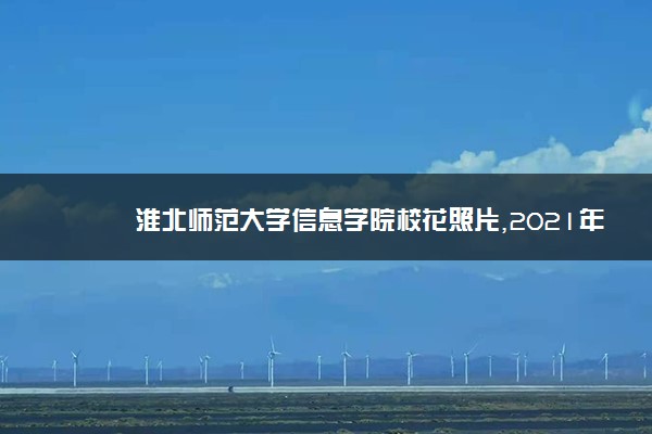 淮北师范大学信息学院校花照片,2021年淮北师范大学信息学院校花是谁(多图)