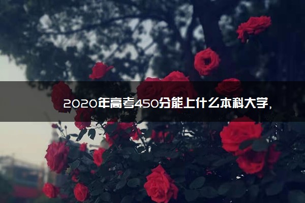 2020年高考450分能上什么本科大学,高考450分能上什么本科学校