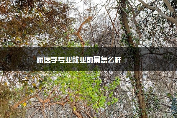 藏医学专业就业前景怎么样