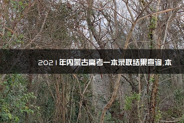 2021年内蒙古高考一本录取结果查询,本科一批录取26887人