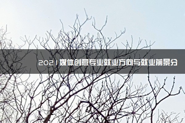 2021媒体创意专业就业方向与就业前景分析