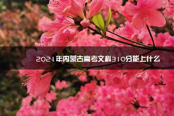 2021年内蒙古高考文科310分能上什么大学(200所)