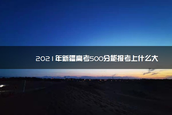 2021年新疆高考500分能报考上什么大学(理科)