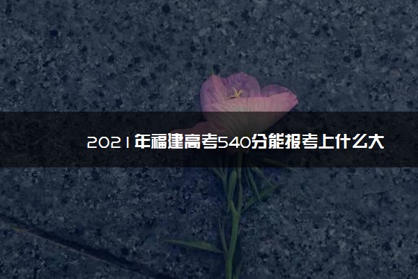 2021年福建高考540分能报考上什么大学(理科)