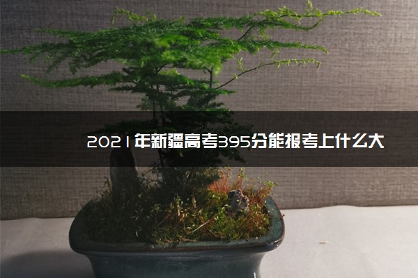 2021年新疆高考395分能报考上什么大学(理科)