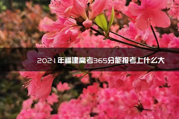 2021年福建高考365分能报考上什么大学(理科)