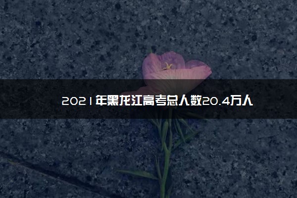 2021年黑龙江高考总人数20.4万人