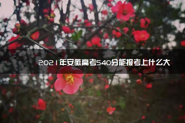 2021年安徽高考540分能报考上什么大学(理科)