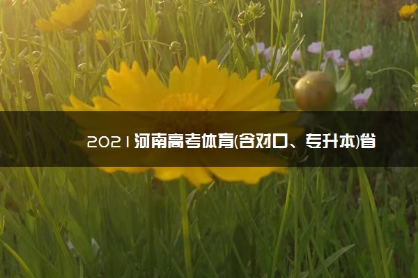 2021河南高考体育(含对口、专升本)省统考成绩查询及入口