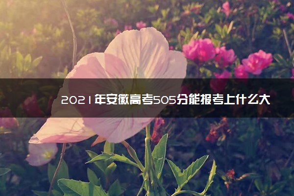 2021年安徽高考505分能报考上什么大学(理科)