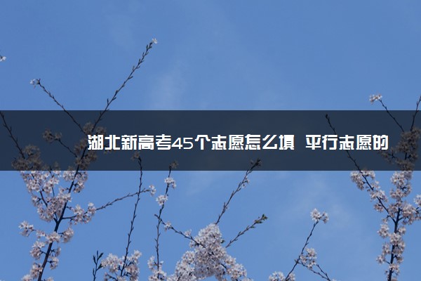 湖北新高考45个志愿怎么填  平行志愿的避坑法则