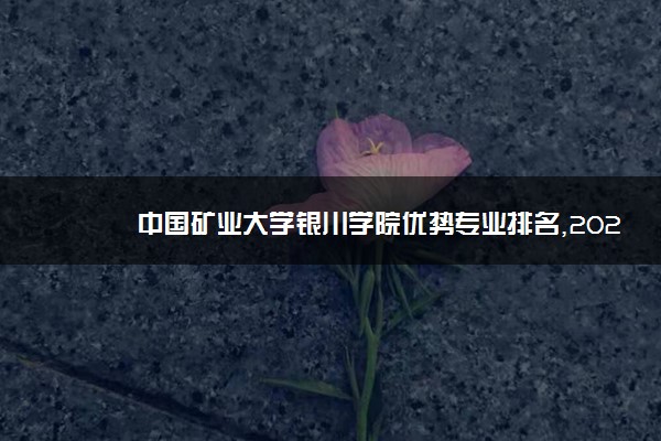 中国矿业大学银川学院优势专业排名,2021年中国矿业大学银川学院最好的专业排名