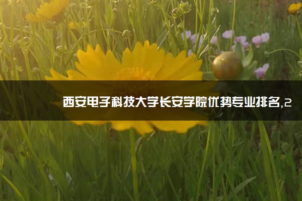 西安电子科技大学长安学院优势专业排名,2021年西安电子科技大学长安学院最好的专业排名