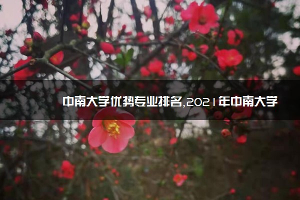 中南大学优势专业排名,2021年中南大学最好的专业排名