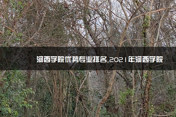 河西学院优势专业排名,2021年河西学院最好的专业排名