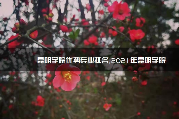 昆明学院优势专业排名,2021年昆明学院最好的专业排名