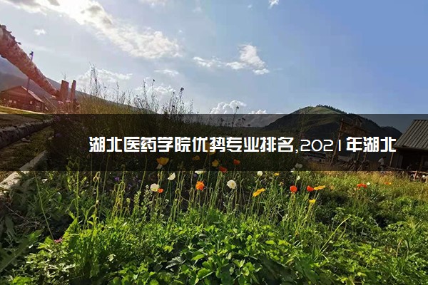 湖北医药学院优势专业排名,2021年湖北医药学院最好的专业排名