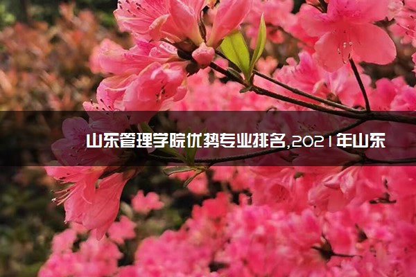 山东管理学院优势专业排名,2021年山东管理学院最好的专业排名