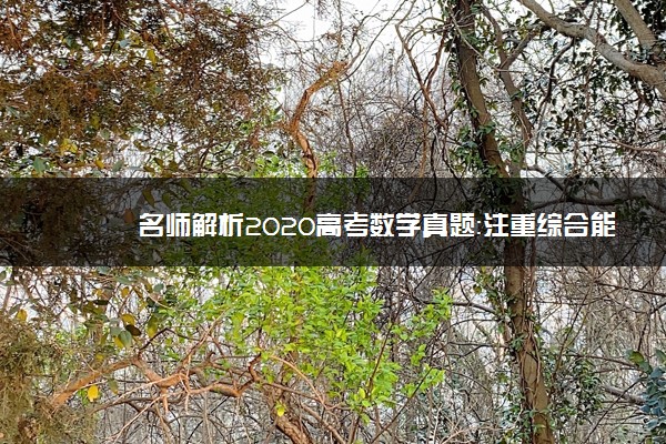 名师解析2020高考数学真题：注重综合能力考查