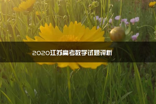 2020江苏高考数学试题评析