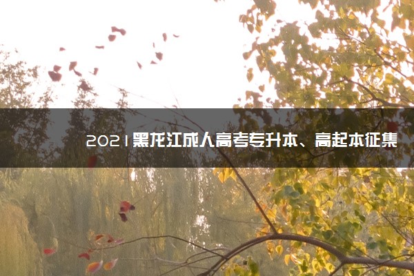 2021黑龙江成人高考专升本、高起本征集志愿12月16-20日填报