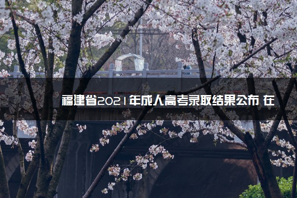 福建省2021年成人高考录取结果公布 在哪查询结果