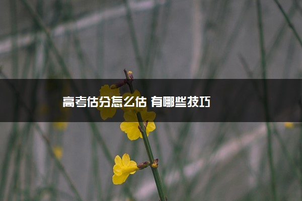 高考估分怎么估 有哪些技巧