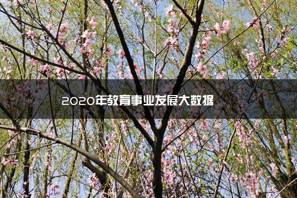 2020年教育事业发展大数据