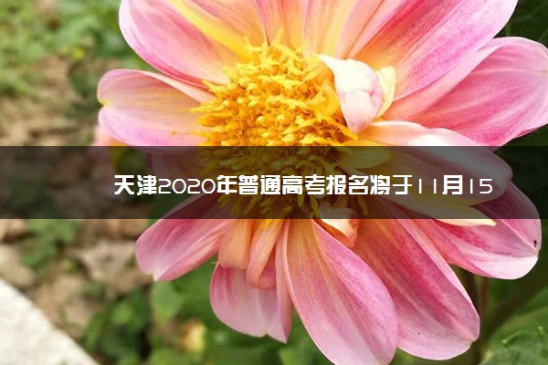 天津2020年普通高考报名将于11月15日开始