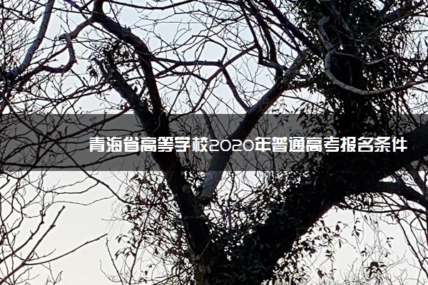 青海省高等学校2020年普通高考报名条件