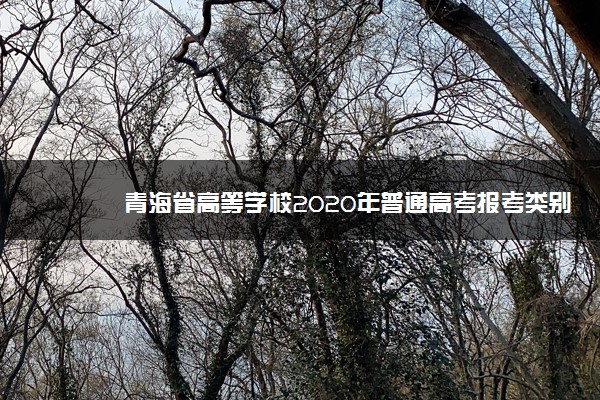 青海省高等学校2020年普通高考报考类别