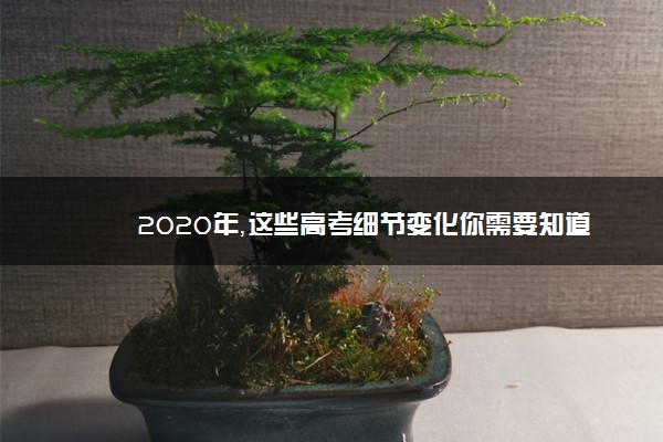 2020年，这些高考细节变化你需要知道