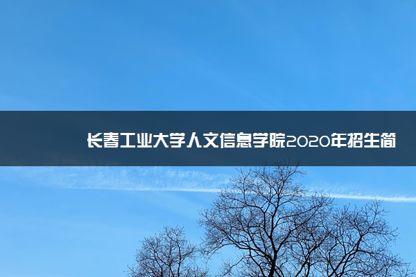 长春工业大学人文信息学院2020年招生简章