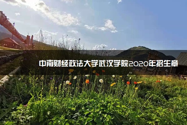 中南财经政法大学武汉学院2020年招生章程