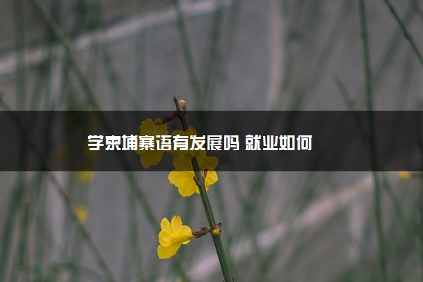 学柬埔寨语有发展吗 就业如何