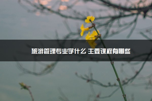 旅游管理专业学什么 主要课程有哪些