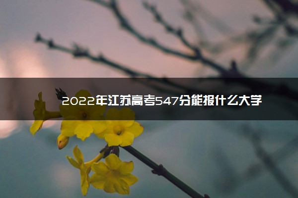 2022年江苏高考547分能报什么大学 547分能上哪些院校