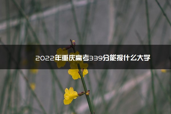 2022年重庆高考339分能报什么大学 339分能上哪些院校