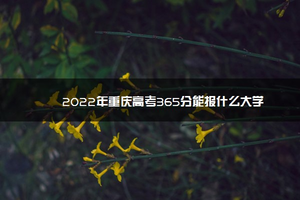 2022年重庆高考365分能报什么大学 365分能上哪些院校