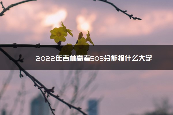 2022年吉林高考503分能报什么大学 503分能上哪些院校