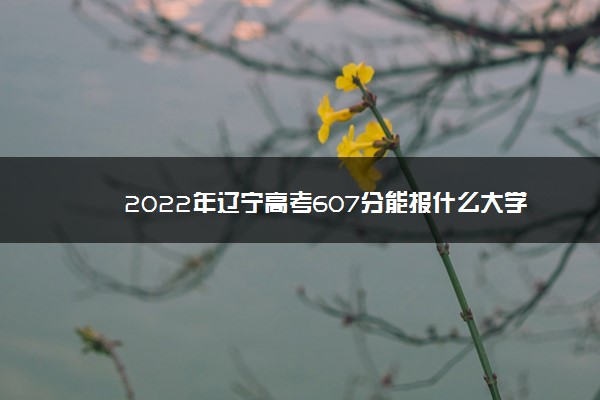 2022年辽宁高考607分能报什么大学 607分能上哪些院校